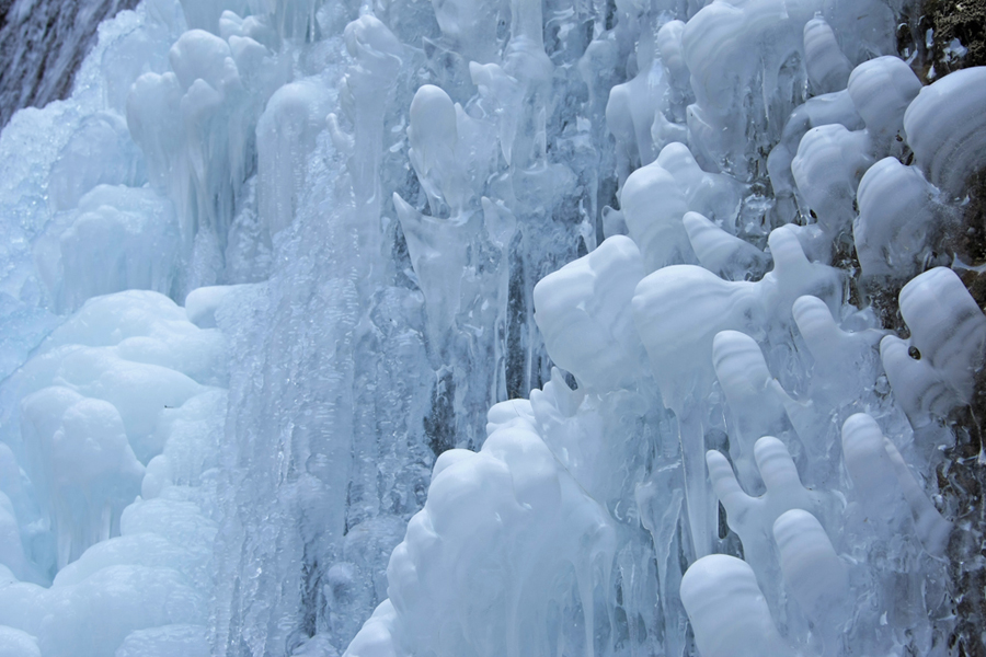 �����µķ�˻��ֹ�����