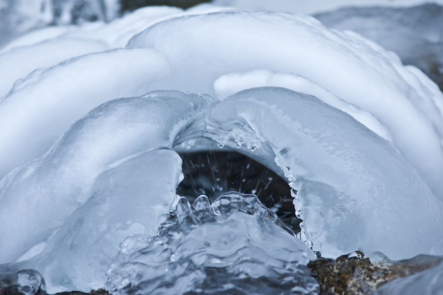 �����µķ�˻��ֹ�����