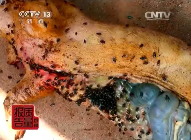 特大制售病死猪团伙被摧毁:几十吨问题肉制成香肠