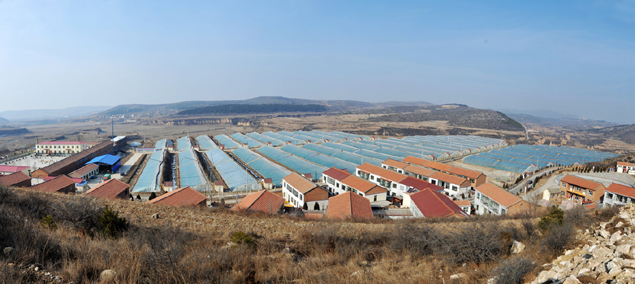 �ؼ�ׯ�������������еĴ���