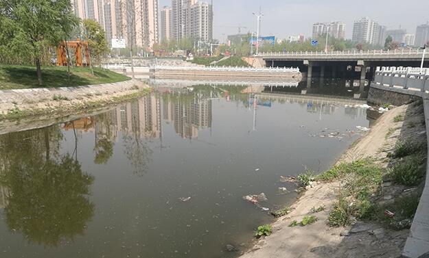 白水河公园河面上漂着不少垃圾