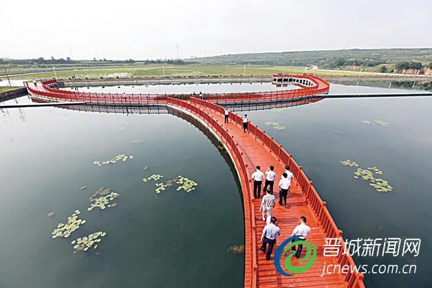 巴公河人工湿地投入运行,市民又多了一处休闲娱乐的好去处。高云 摄