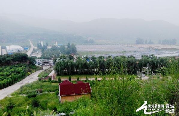 绿树掩映下的应郭村