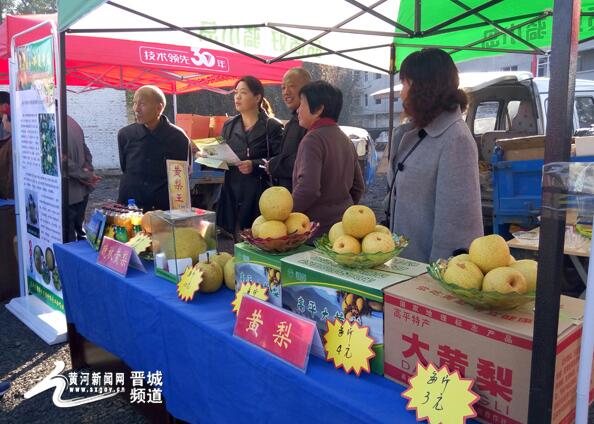 “中国梨乡 高平寺庄”首届黄梨节开幕