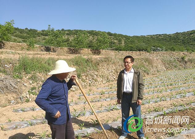 李伟深入田间地头,了解村上传统农业的种植情况。