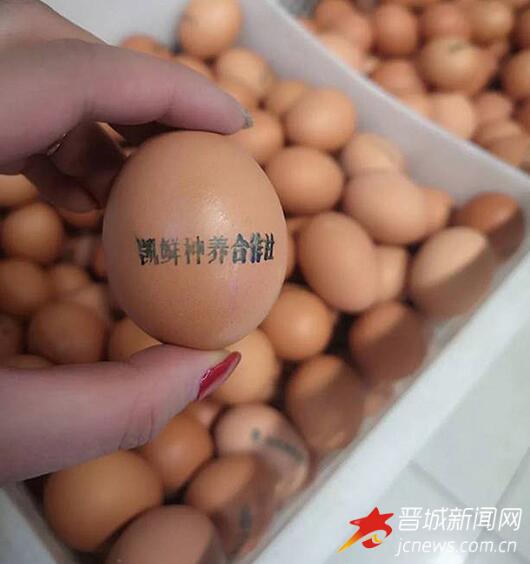 印有来源标志的鸡蛋。